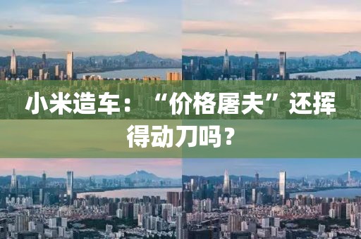 小米造車：“價格屠夫”還揮得動刀嗎？
