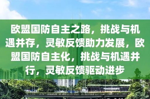 歐盟國防自主之路，挑戰與機遇并存，靈敏反饋助力發展，歐盟國防自主化，挑戰與機遇并行，靈敏反饋驅動進步