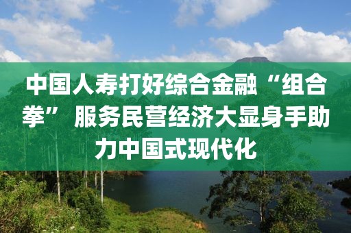 中國人壽打好綜合金融“組合拳” 服務民營經濟大顯身手助力中國式現代化