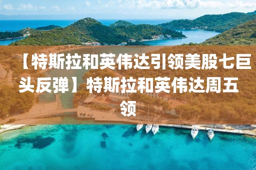 【特斯拉和英偉達(dá)引領(lǐng)美股七巨頭反彈】特斯拉和英偉達(dá)周五領(lǐng)