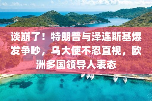 談崩了！特朗普與澤連斯基爆發爭吵，烏大使不忍直視，歐洲多國領導人表態
