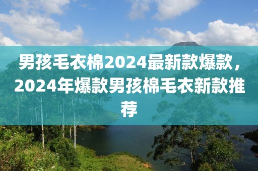 男孩毛衣棉2024最新款爆款，2024年爆款男孩棉毛衣新款推薦