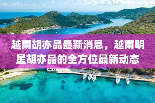 越南胡亦品最新消息，越南明星胡亦品的全方位最新動(dòng)態(tài)