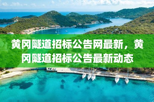 黃岡隧道招標公告網最新，黃岡隧道招標公告最新動態