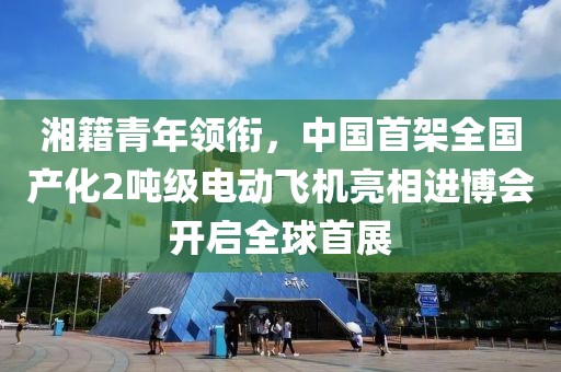 湘籍青年領銜，中國首架全國產化2噸級電動飛機亮相進博會開啟全球首展