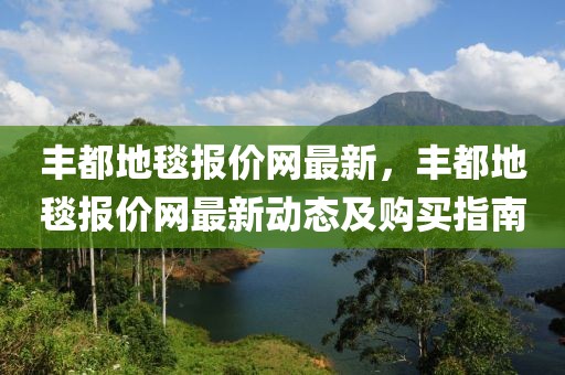 豐都地毯報價網最新，豐都地毯報價網最新動態及購買指南