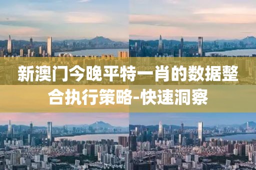 新澳門今晚平特一肖的數據整合執行策略-快速洞察