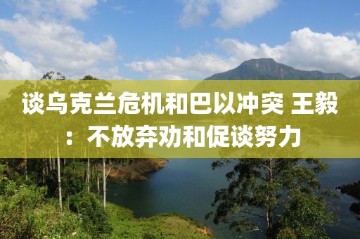 ?談烏克蘭危機和巴以沖突 王毅：不放棄勸和促談努力