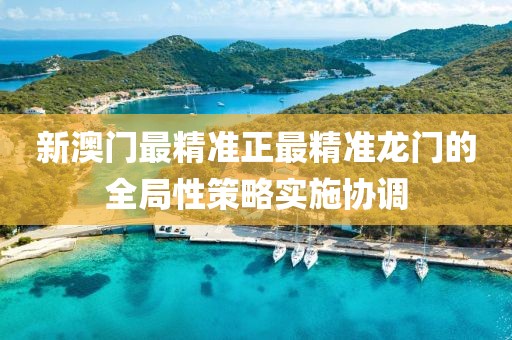 新澳門最精準正最精準龍門的全局性策略實施協調