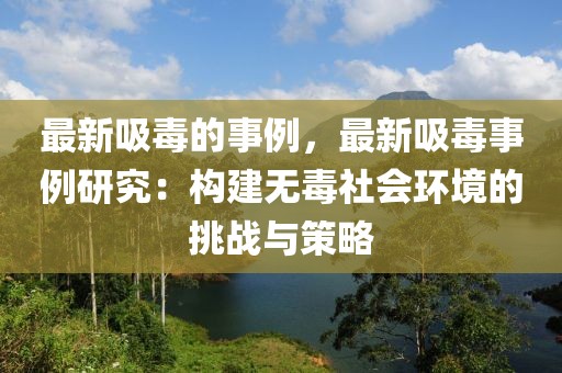 最新吸毒的事例，最新吸毒事例研究：構(gòu)建無毒社會環(huán)境的挑戰(zhàn)與策略
