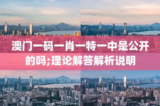 澳門一碼一肖一特一中是公開的嗎;理論解答解析說明