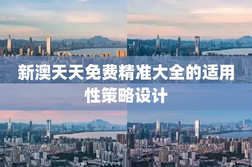新澳天天免費精準(zhǔn)大全的適用性策略設(shè)計