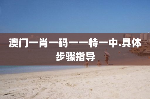 澳門一肖一碼一一特一中.具體步驟指導