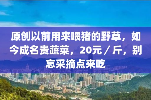原創以前用來喂豬的野草，如今成名貴蔬菜，20元／斤，別忘采摘點來吃