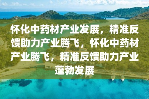 懷化中藥材產業發展，精準反饋助力產業騰飛，懷化中藥材產業騰飛，精準反饋助力產業蓬勃發展