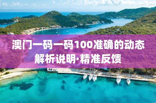 澳門一碼一碼100準確的動態解析說明·精準反饋