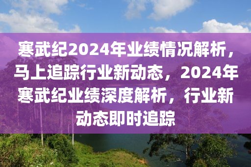 寒武紀(jì)2024年業(yè)績情況解析，馬上追蹤行業(yè)新動(dòng)態(tài)，2024年寒武紀(jì)業(yè)績深度解析，行業(yè)新動(dòng)態(tài)即時(shí)追蹤