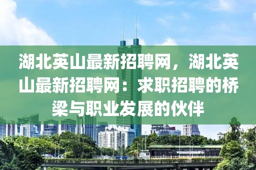湖北英山最新招聘網(wǎng)，湖北英山最新招聘網(wǎng)：求職招聘的橋梁與職業(yè)發(fā)展的伙伴