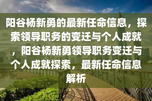 陽(yáng)谷楊新勇的最新任命信息，探索領(lǐng)導(dǎo)職務(wù)的變遷與個(gè)人成就，陽(yáng)谷楊新勇領(lǐng)導(dǎo)職務(wù)變遷與個(gè)人成就探索，最新任命信息解析