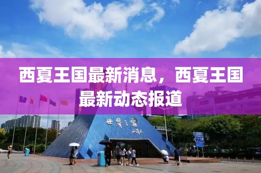 西夏王國最新消息，西夏王國最新動態報道