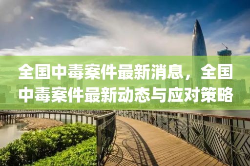 全國中毒案件最新消息，全國中毒案件最新動態與應對策略