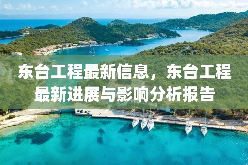 東臺(tái)工程最新信息，東臺(tái)工程最新進(jìn)展與影響分析報(bào)告