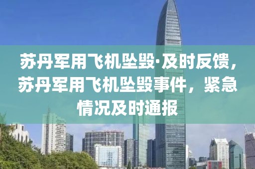 蘇丹軍用飛機墜毀·及時反饋，蘇丹軍用飛機墜毀事件，緊急情況及時通報