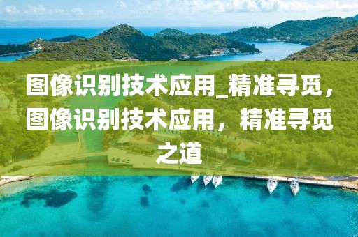 圖像識別技術(shù)應(yīng)用_精準(zhǔn)尋覓，圖像識別技術(shù)應(yīng)用，精準(zhǔn)尋覓之道