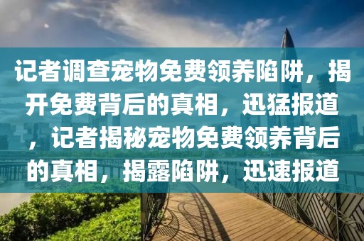 記者調查寵物免費領養陷阱，揭開免費背后的真相，迅猛報道，記者揭秘寵物免費領養背后的真相，揭露陷阱，迅速報道