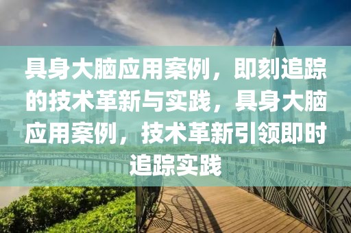 具身大腦應用案例，即刻追蹤的技術革新與實踐，具身大腦應用案例，技術革新引領即時追蹤實踐
