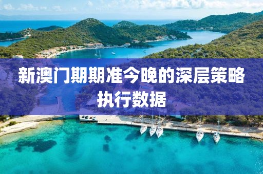 新澳門期期準今晚的深層策略執行數據