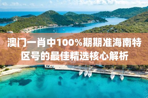 澳門一肖中100%期期準海南特區號的最佳精選核心解析