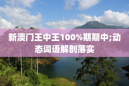 新澳門王中王100%期期中;動態詞語解剖落實