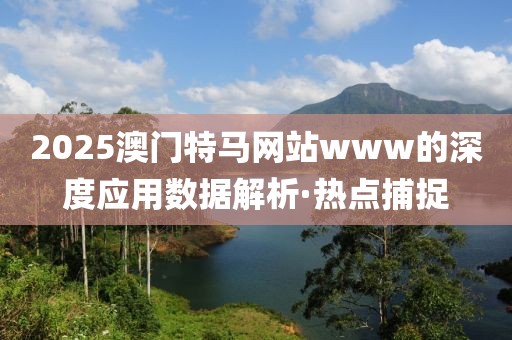 2025澳門特馬網站www的深度應用數據解析·熱點捕捉