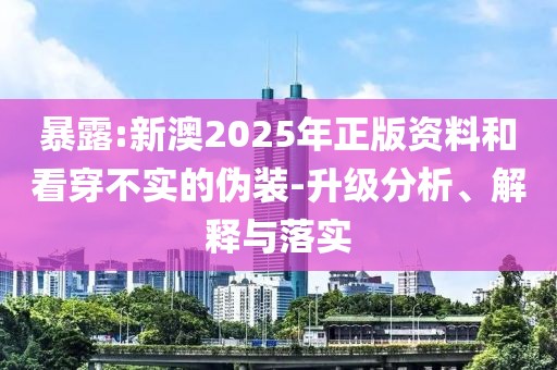 暴露:新澳2025年正版資料和看穿不實的偽裝-升級分析、解釋與落實