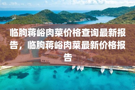 臨朐蔣峪肉菜價格查詢最新報告，臨朐蔣峪肉菜最新價格報告