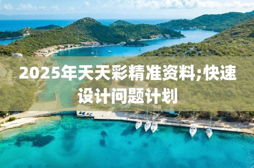 2025年天天彩精準(zhǔn)資料;快速設(shè)計問題計劃