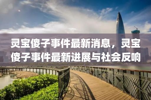 靈寶傻子事件最新消息，靈寶傻子事件最新進展與社會反響