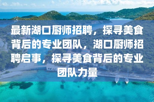 最新湖口廚師招聘，探尋美食背后的專業團隊，湖口廚師招聘啟事，探尋美食背后的專業團隊力量