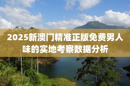 2025新澳門精準正版免費男人味的實地考察數據分析