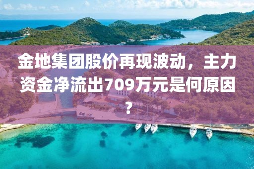 金地集團股價再現波動，主力資金凈流出709萬元是何原因？