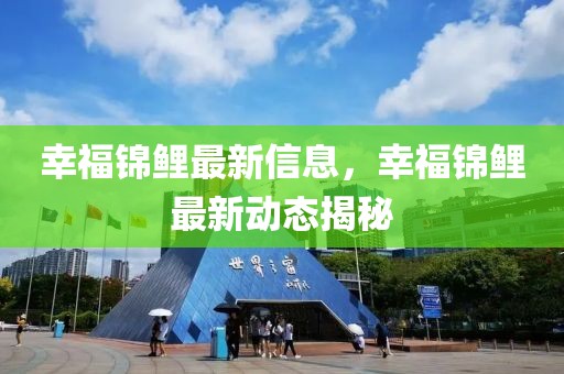 幸福錦鯉最新信息，幸福錦鯉最新動(dòng)態(tài)揭秘
