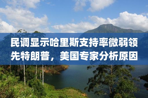 民調顯示哈里斯支持率微弱領先特朗普，美國專家分析原因
