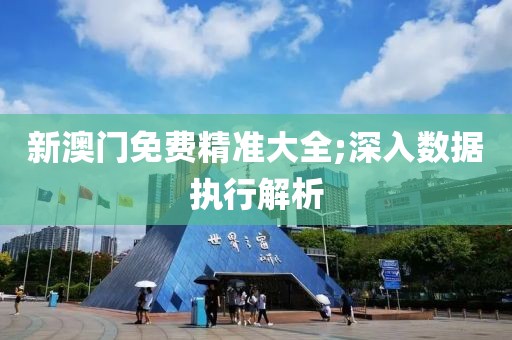 新澳門免費精準大全;深入數據執行解析