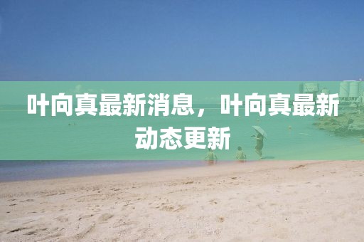葉向真最新消息，葉向真最新動態(tài)更新