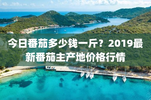 今日番茄多少錢一斤？2019最新番茄主產地價格行情