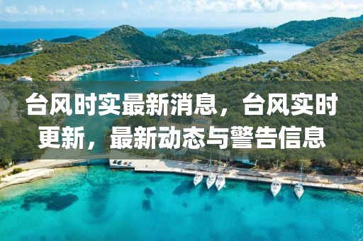 臺風(fēng)時實(shí)最新消息，臺風(fēng)實(shí)時更新，最新動態(tài)與警告信息