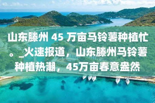 山東滕州 45 萬畝馬鈴薯種植忙。_火速報道，山東滕州馬鈴薯種植熱潮，45萬畝春意盎然
