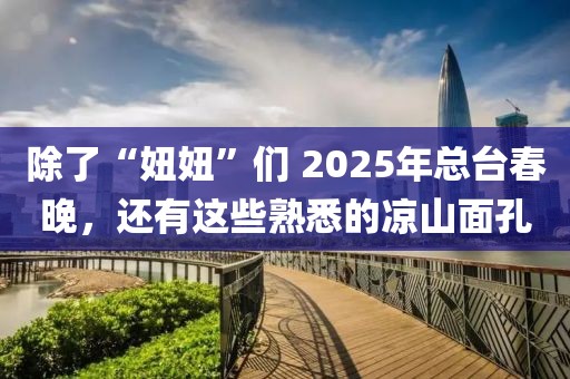 除了“妞妞”們 2025年總臺春晚，還有這些熟悉的涼山面孔