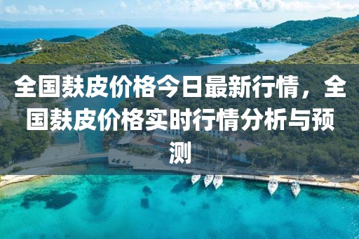 全國麩皮價格今日最新行情，全國麩皮價格實時行情分析與預測
